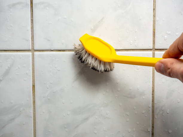 Professional Mold Removal in Mount Sinai, NY