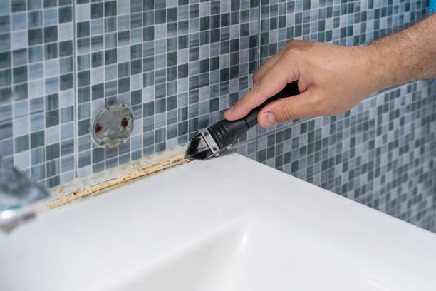 Best Toxic Mold Removal  in Mount Sinai, NY
