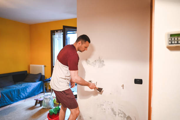 Best Mold Remediation Services  in Mount Sinai, NY